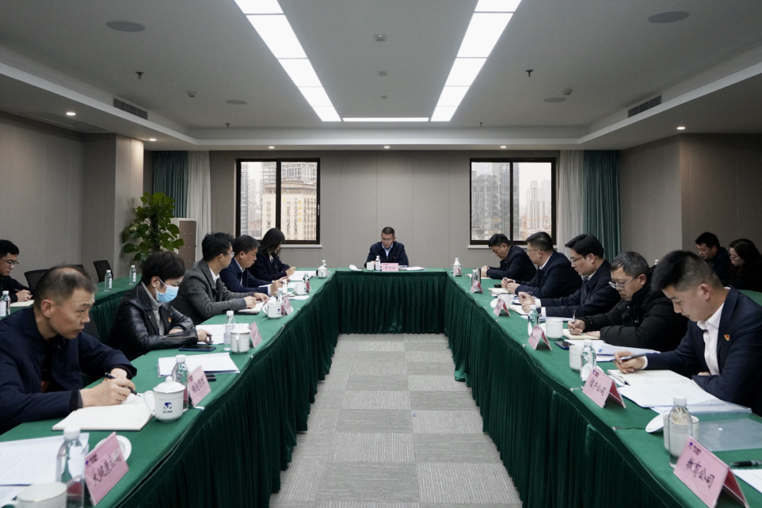四川省龙8集团开展纪检监察干部队伍教育整顿学习教育