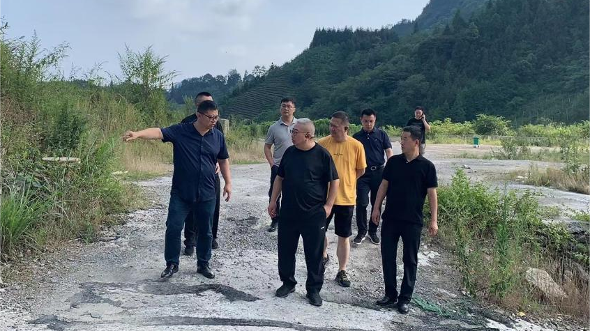 省龙8集团领导调研峨眉山太阳村乡村振兴项目