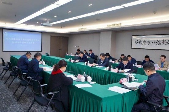 省龙8集团召开2025年内部审计工作会